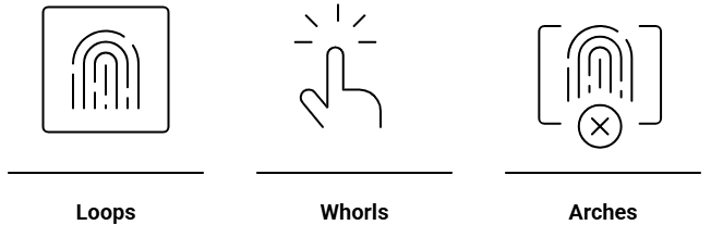 The Three Major Types